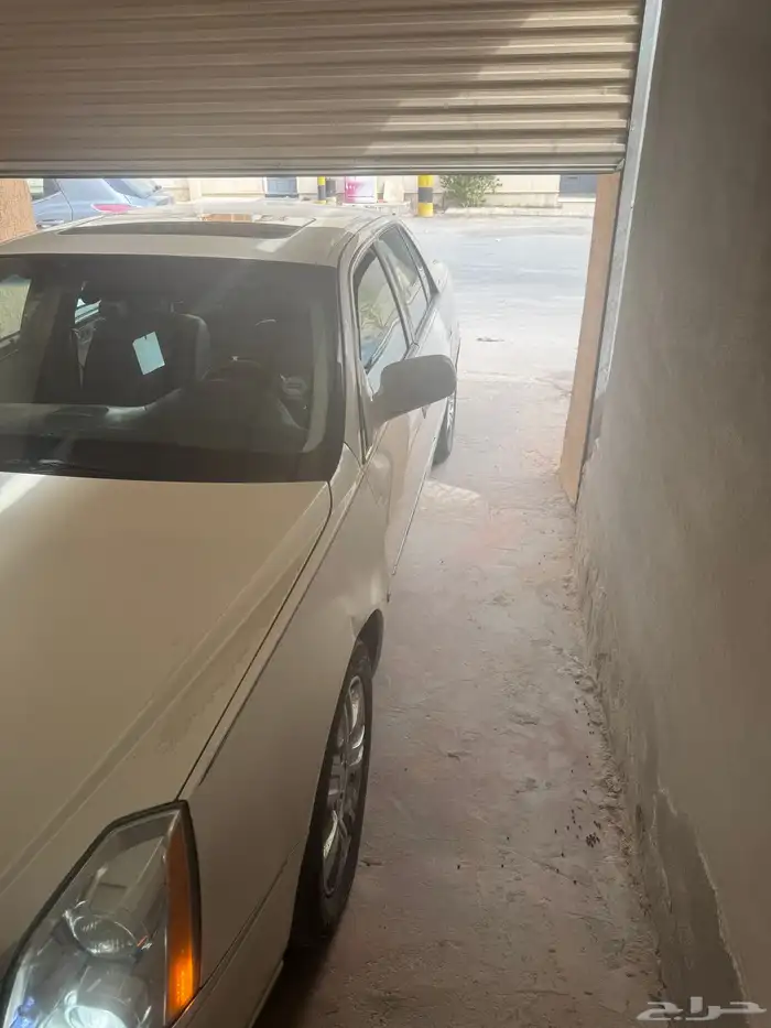 كدلك DTS بلاتينيوم موديل 2010 12