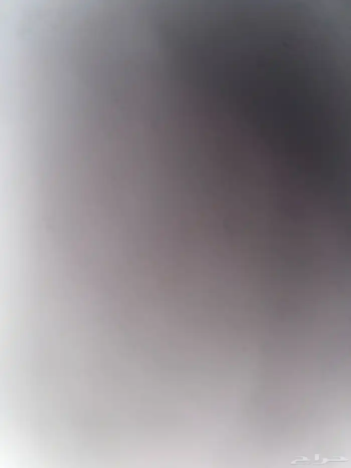اقبل تبيني الحيونات 0
