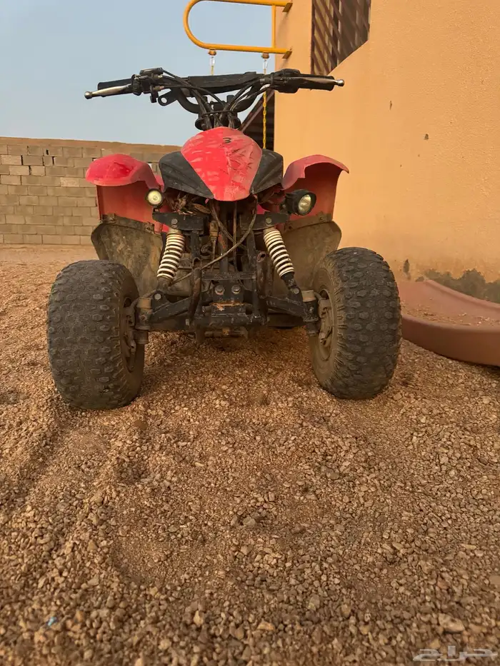 دباب للبيع 1