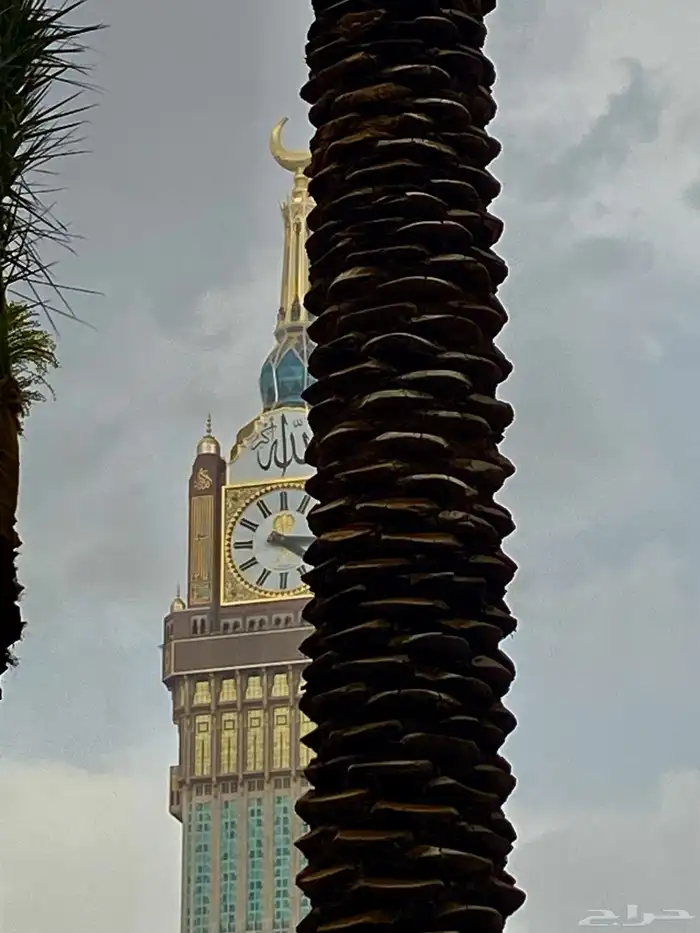 يلي يدور مصمم جرافيك ومصور تواصل معي 11