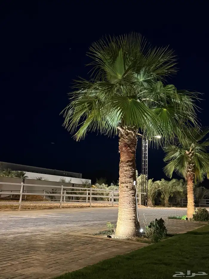 ايواء خيل ديراب خلف مركز الملك عبدالعزيز 0