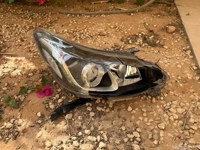 كبوت   شبك   شمعه (سبارك) 6