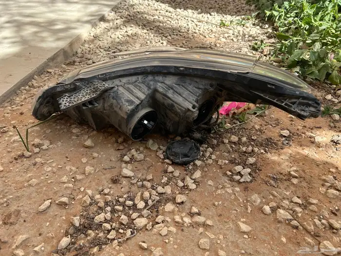 كبوت   شبك   شمعه (سبارك) 7