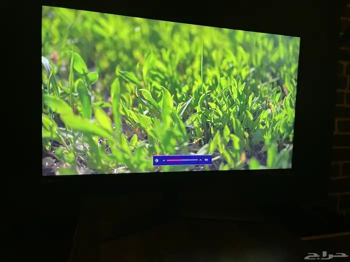 شاشة 24 بوصه LG 180 hz 1