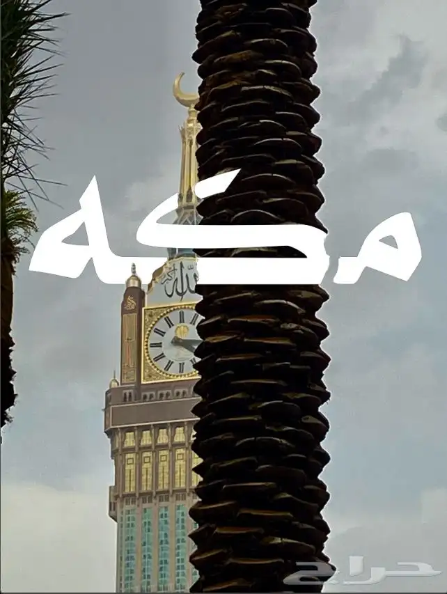 يلي يدور مصمم جرافيك ومصور تواصل معي 8