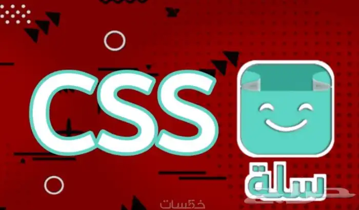 تنسيق وترتيب متجرك في منصة سلة باستخدام الاكواد css 0