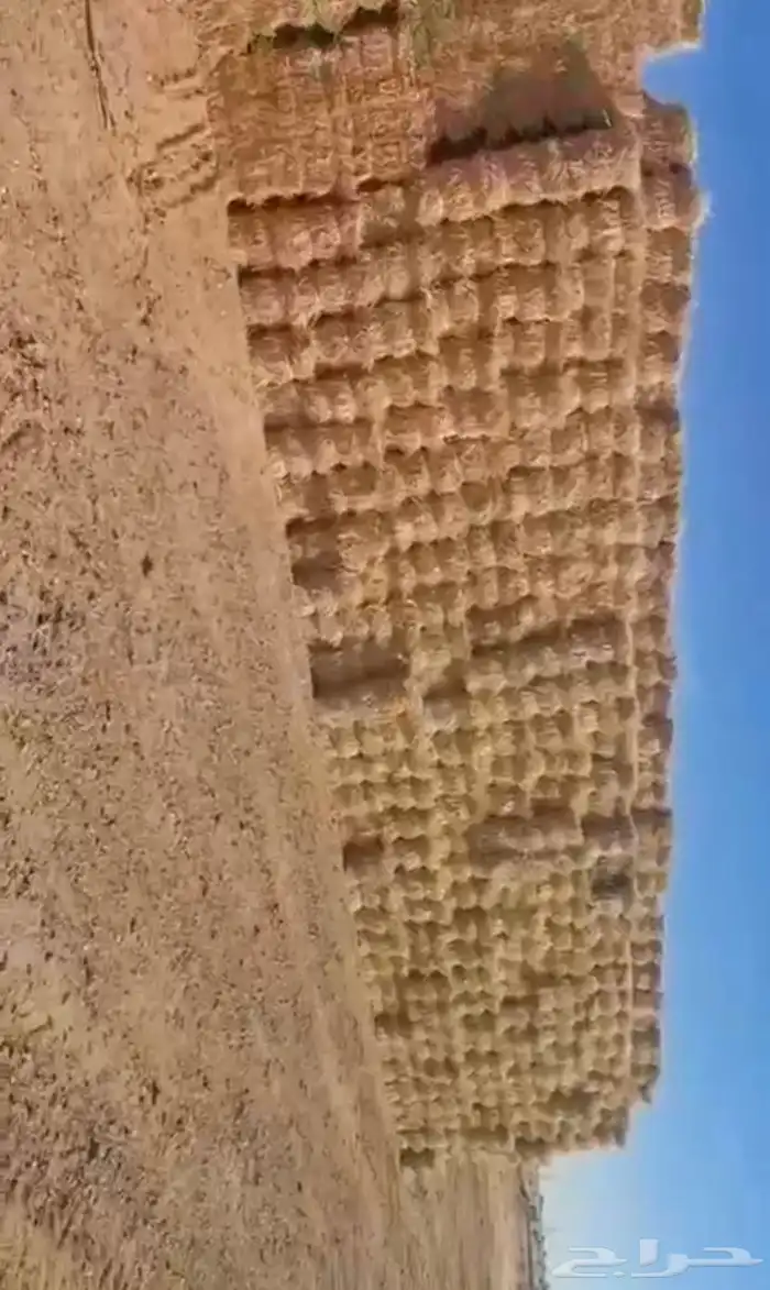 تبن 0
