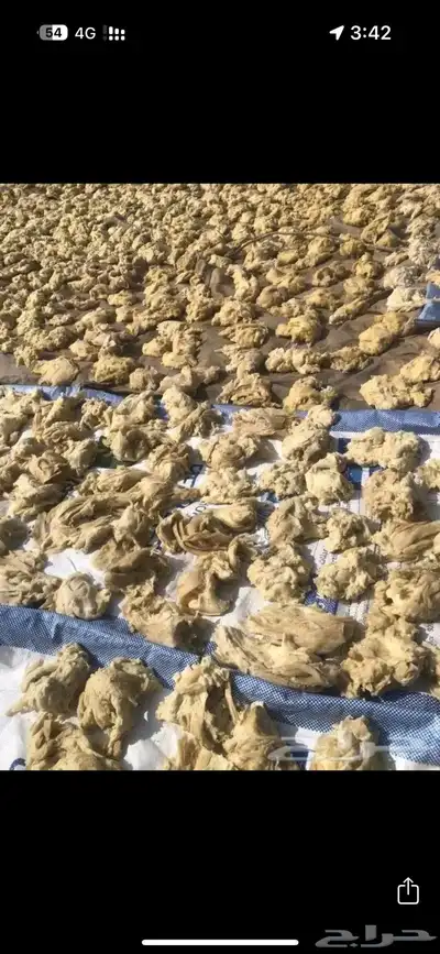عجين سمبوسه ناشف للحلال 0