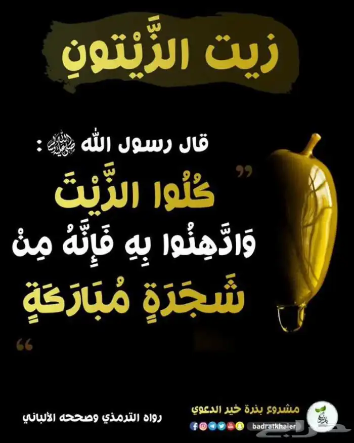 زيت زيتون الجوف 9