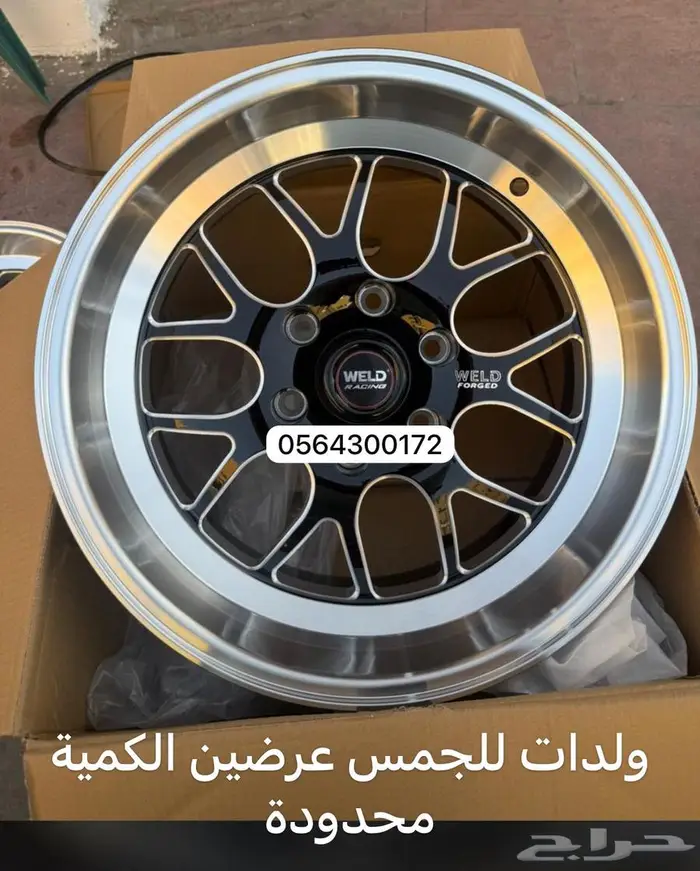 جنوط وايلدات جمس 3