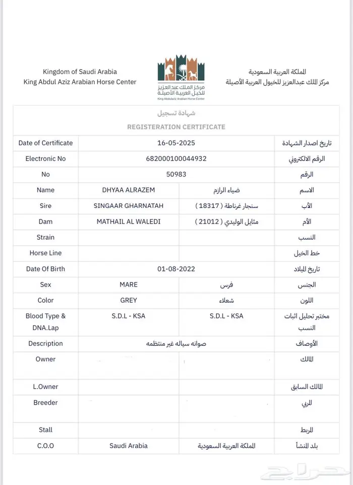 مهره من الفحل سنجار غرناطة 1