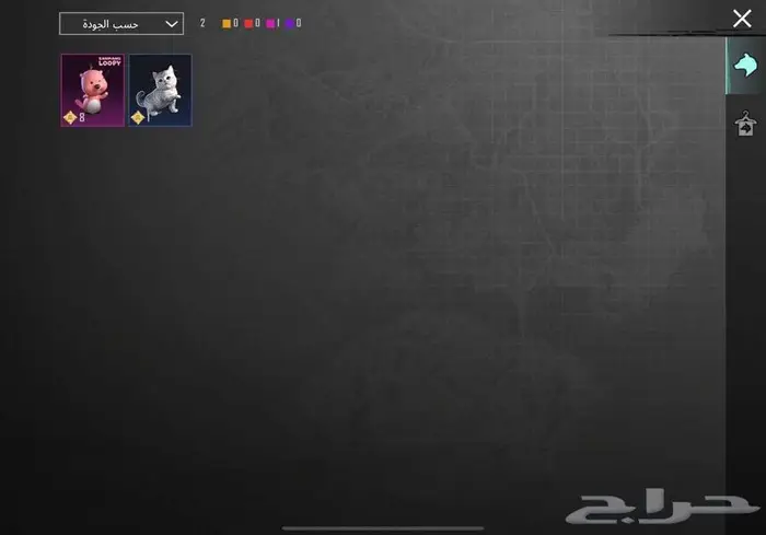 حساب ببجي 21