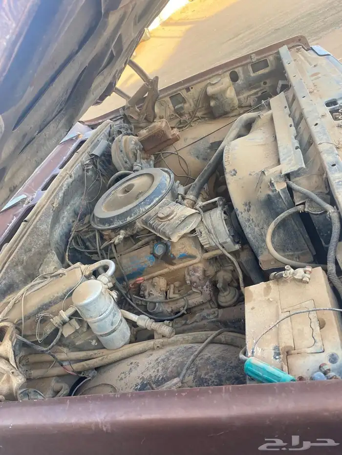 المجمعه 0