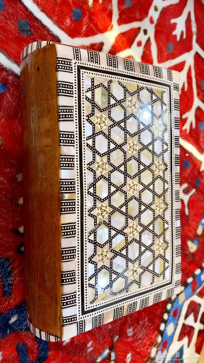 صندوق صدف طبيعي 0