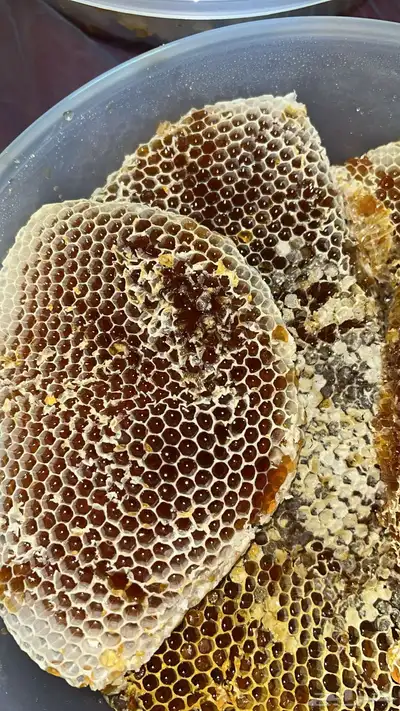 عسل سمره فاخر 2