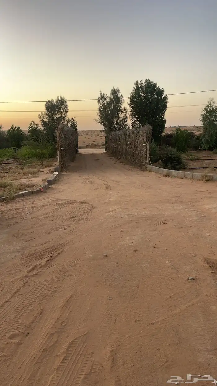 لايجار اليومي منتزه بروق الوسم 4