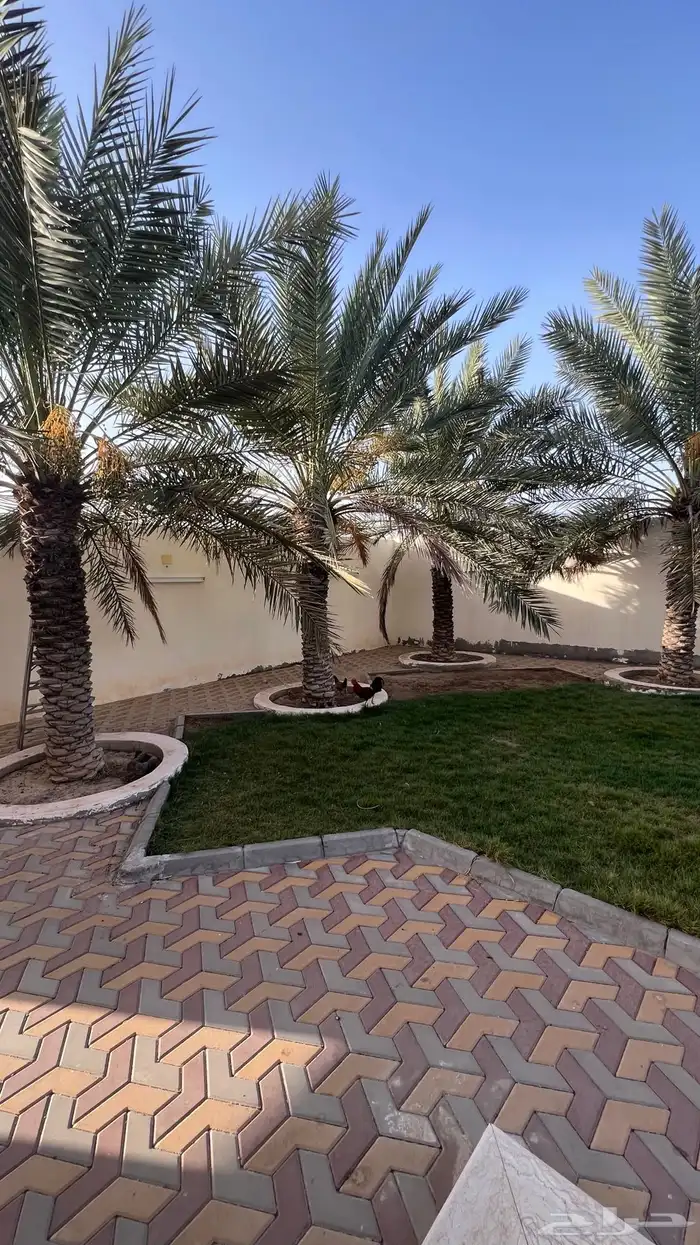 الاستراحة المكية 9