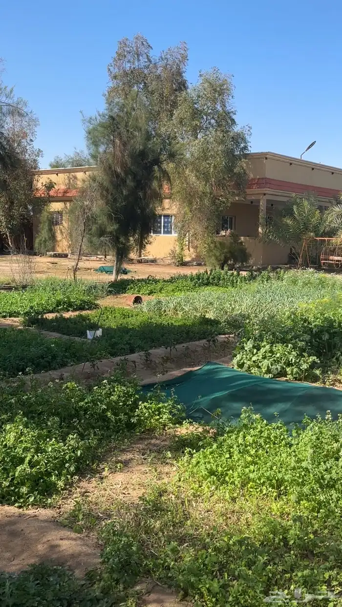 فرصة استثمارية  مزرعة للبيع متكاملة بصك شرعي في حفر الباطن 23