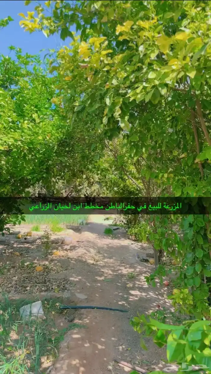 فرصة استثمارية  مزرعة للبيع متكاملة بصك شرعي في حفر الباطن 17