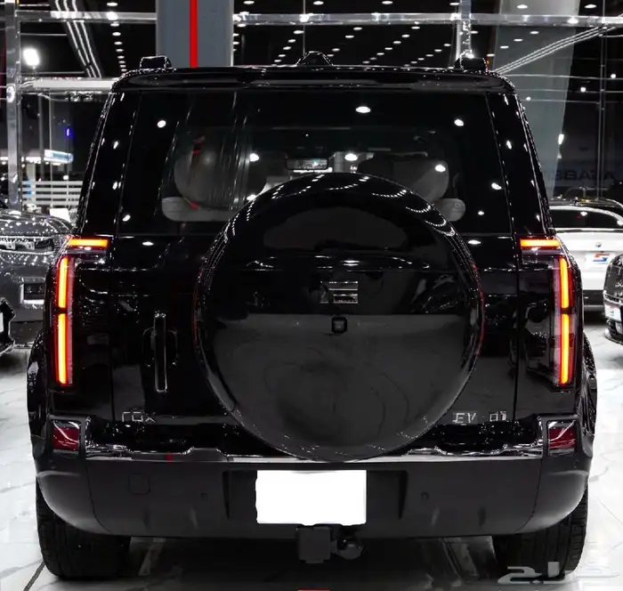 2025 ROX01 VIP بافضل الأسعار و أرخصهم في الخليج 2