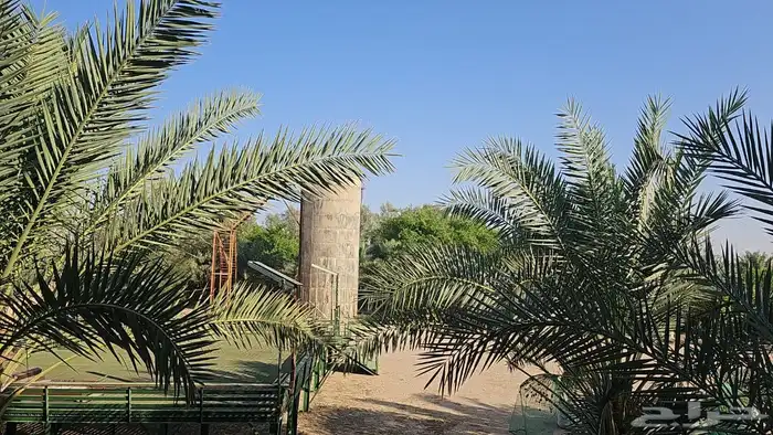 فرصة استثمارية  مزرعة للبيع متكاملة بصك شرعي في حفر الباطن 40