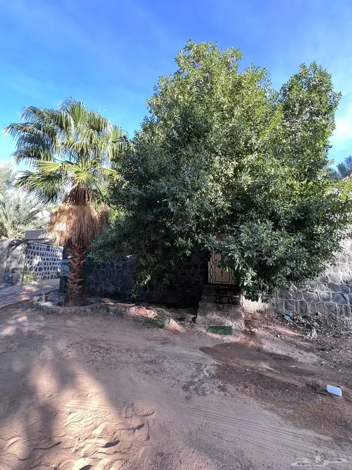 ايجار يومي استراحة حنان الريفية 18