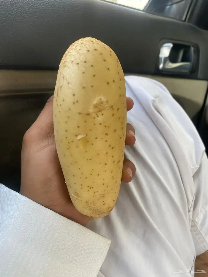 بطاطسه القلب 3