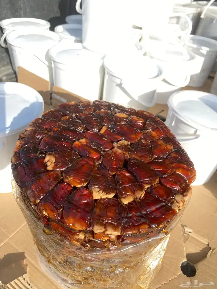 برني العيص فاخر ومطوق 0