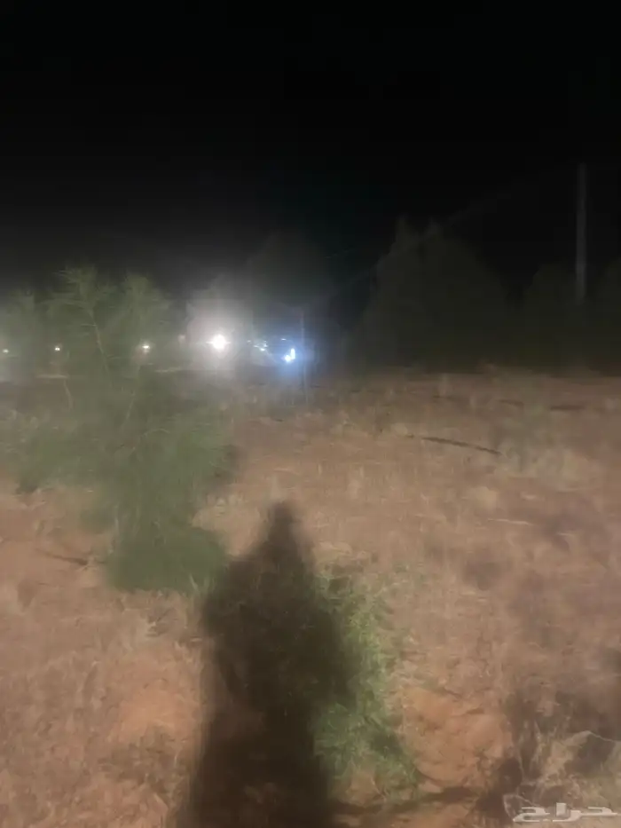 لايجار اليومي منتزه بروق الوسم 3