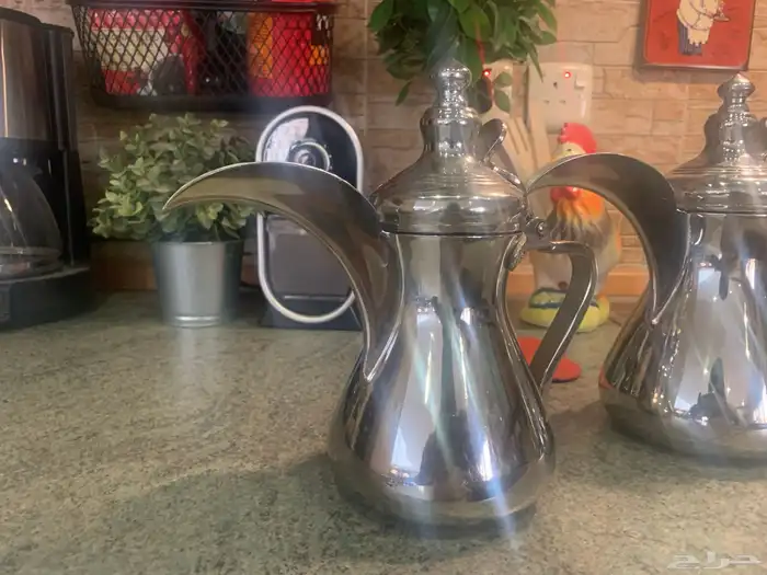 دلتين عساف مميزات قصيرة وعريضة من الاسفل نادرات 1