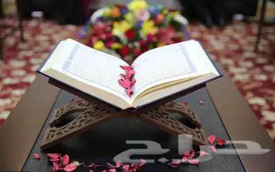 تعليم القران الكريم بشكل مركز ودقيق 0