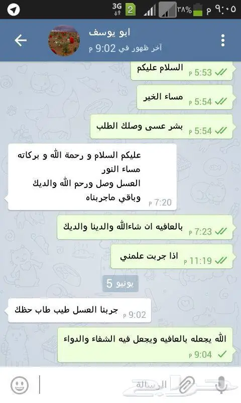 عسل طبيعي بادي بالضمان 28
