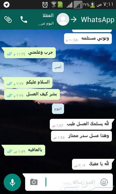 عسل طبيعي بادي بالضمان 30