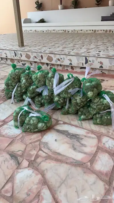 ثوم بلدي كفو وشي نظيف 4