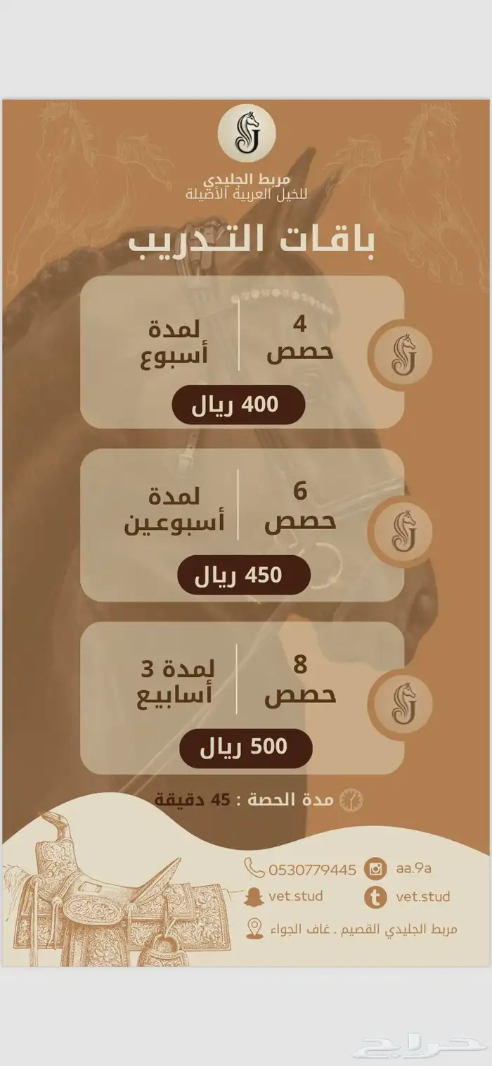 تدريب ركوب الخيل 0