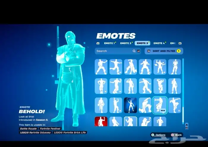 حساب فورت نايت 13