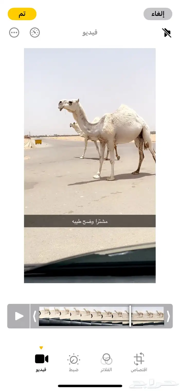 وضح طيبه 2