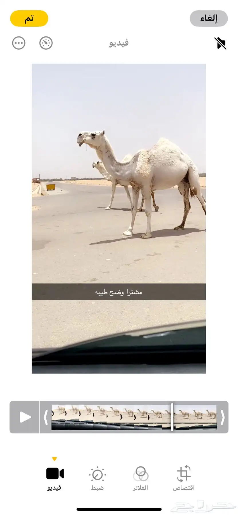 وضح طيبه 2