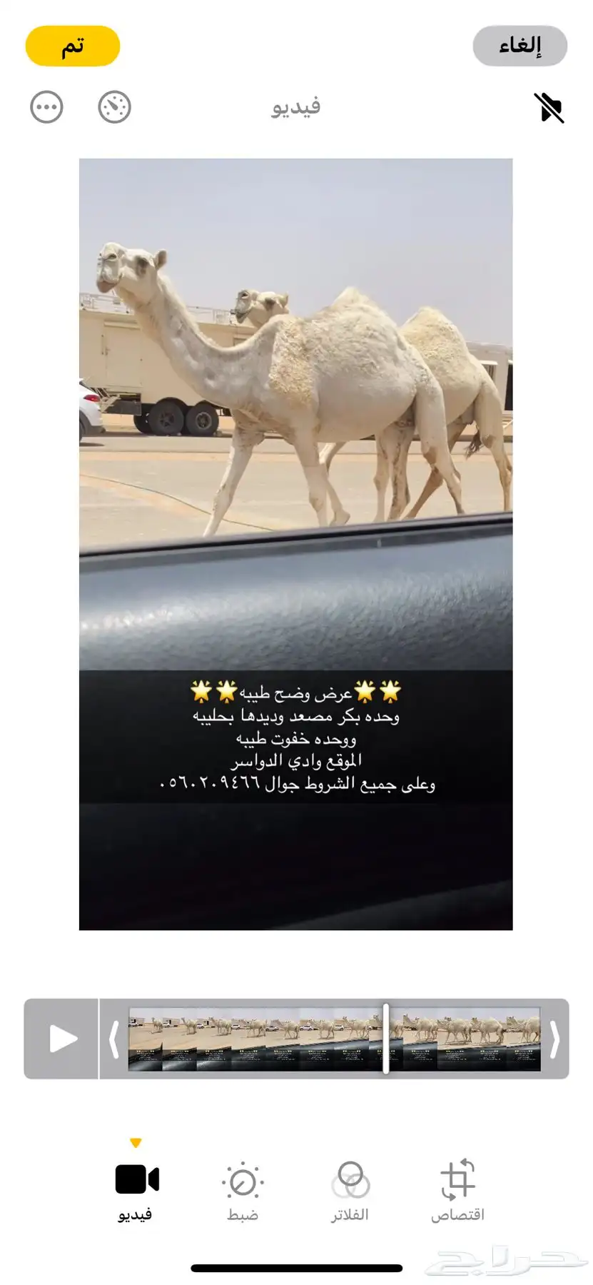وضح طيبه 1