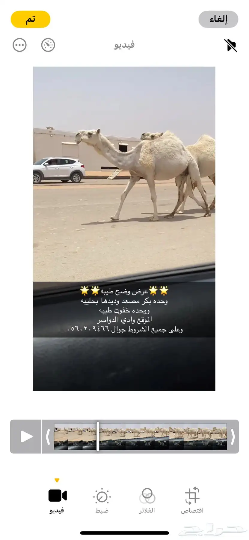 وضح طيبه 0