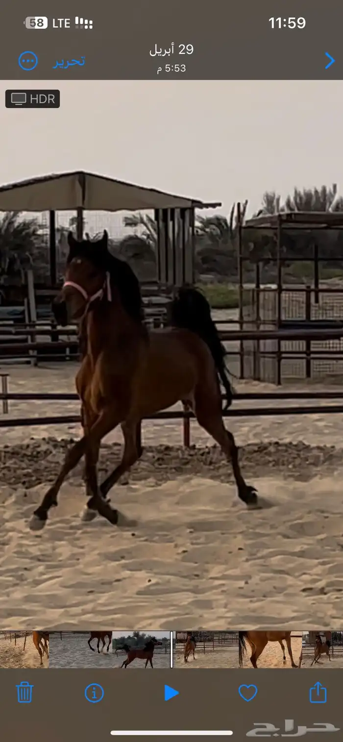مهره واهو مكس 0