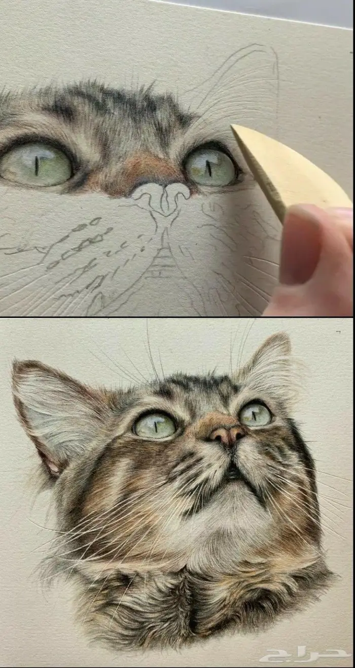 طلبات رسم 4