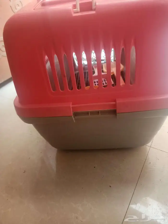 مستلزمات قطط 7