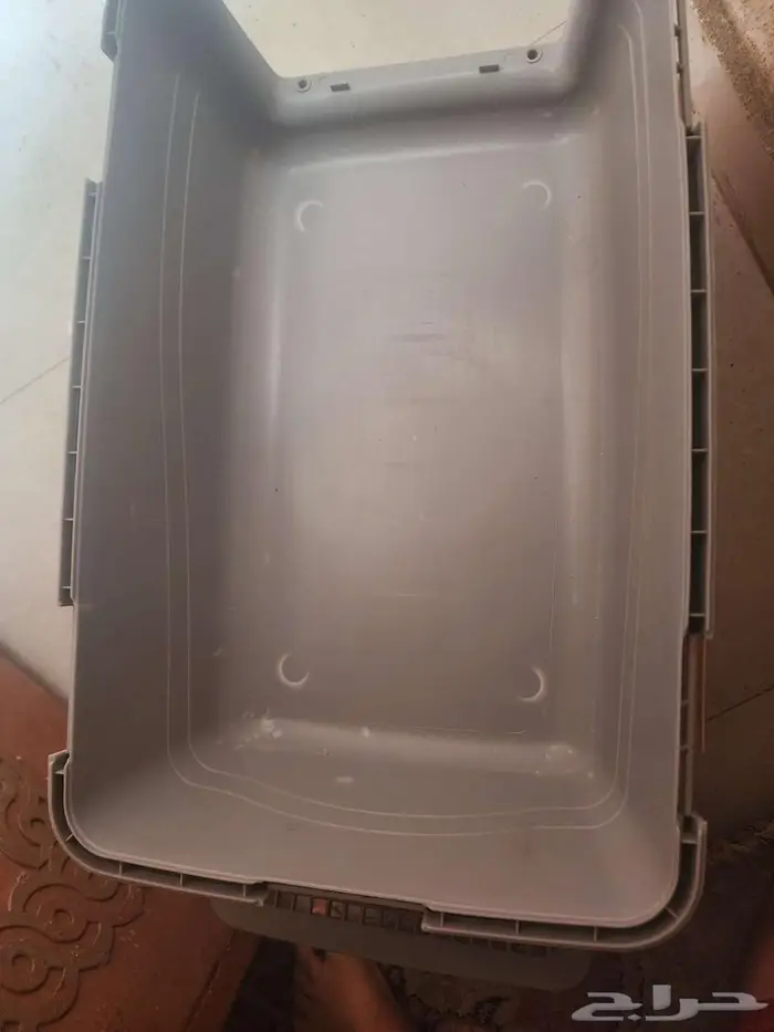 مستلزمات قطط 1