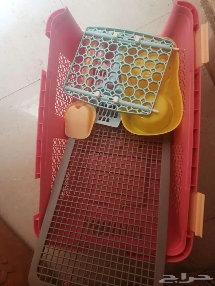 مستلزمات قطط 4