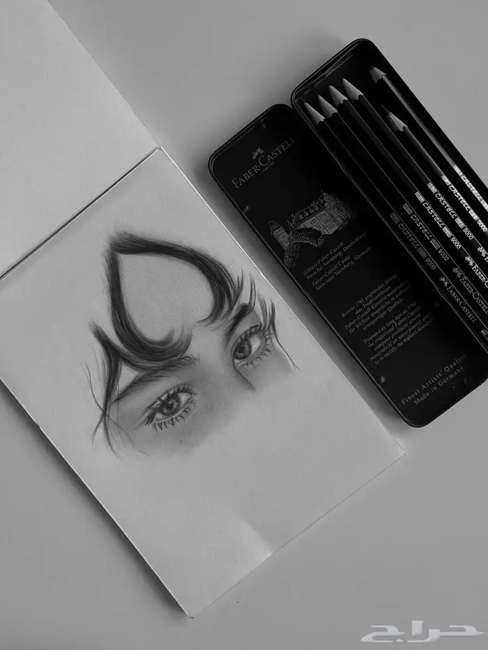 طلبات رسم 0