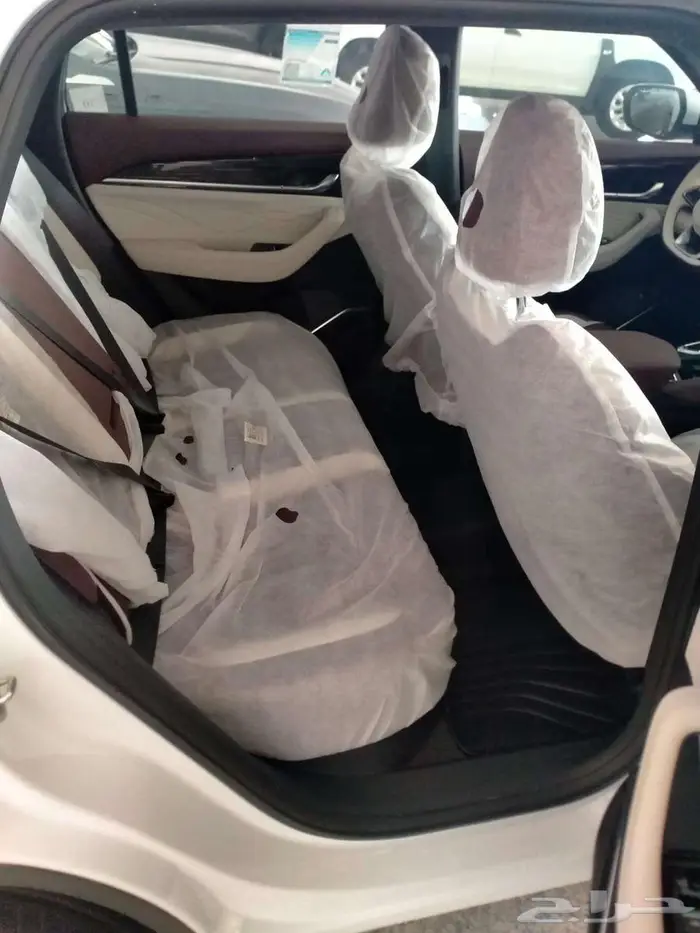 جيلى منجارو نص فل 8