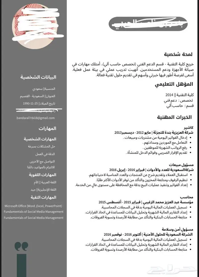 سيرة ذاتية احترافية 0