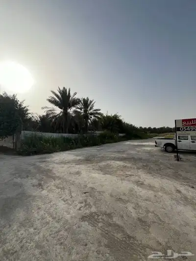 مزرعة للبيع -أرض زراعية موقع متميز- الاحساء- مزارع 7