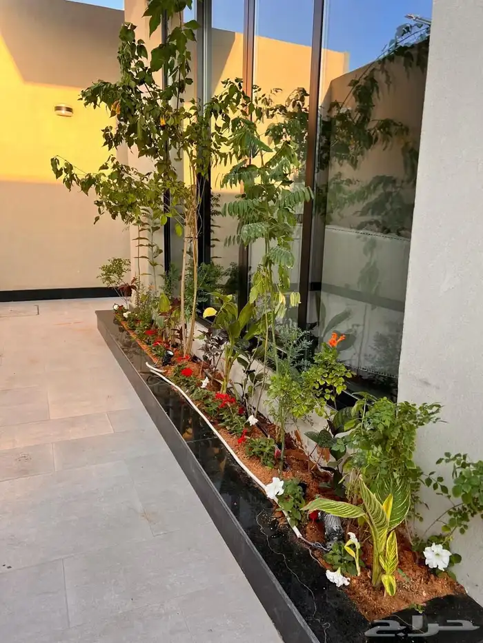 أشجار زينة تنسيق حدائق تشجير ممرات نباتات الزينة 1